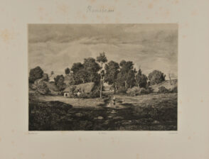 Paysage dans les Landes