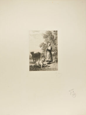 Les Petites vachères