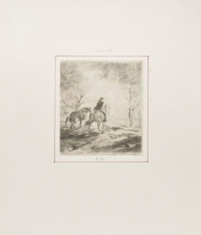 Paysage: Chevaux