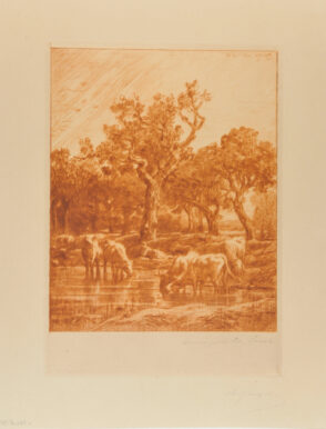 Vaches à l’abreuvoir