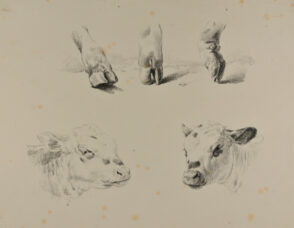Three hooves and two cow heads