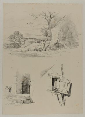 Trees and rocks, doorstep, window