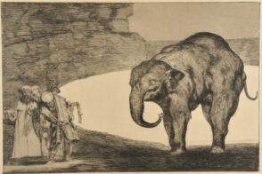 The Elephant – Otras Leyes por el Pueblo