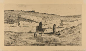 Un Terrier de renard à Château-Neuf (Seine et Loire)