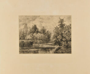 Île à la Moutarde à Montgeron (Rivière d’Yères)