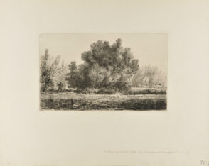 In the Meadow at Montgeron