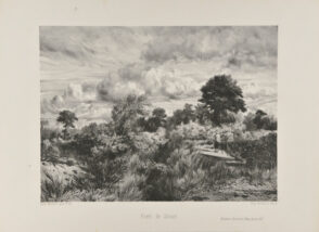 Une Rigole (Forêt de Sénart)