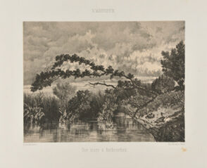 Une Mare à Rochecorbou