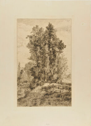 Les Bords du Sichon à Vichy