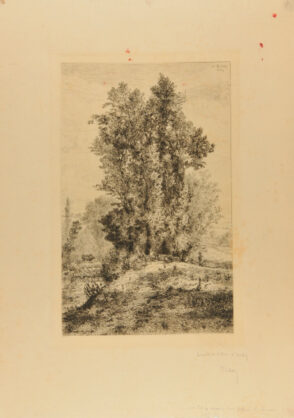 Les Bords du Sichon à Vichy