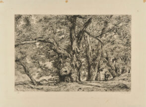 Châtaigneraie à Royat