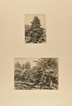 Étude d’arbre; Une Haie à Chatou