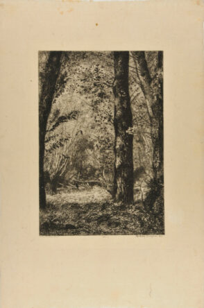 Troncs d’arbres à Croissy