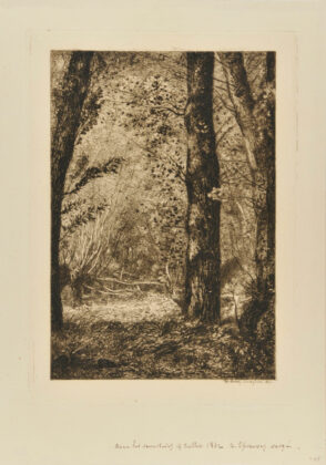 Troncs d’arbres à Croissy