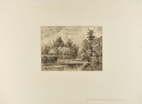 Île à la Moutarde à Montgeron (Rivière d’Yères)