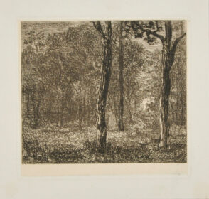 Clearing in a forest with woman between two center trees