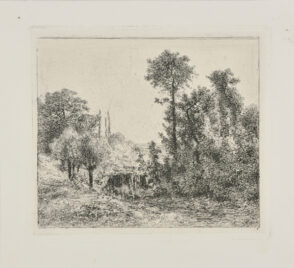 Ruisseau tombant en cascade