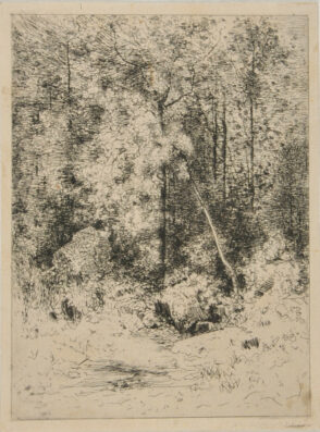 Intérieur de Forêt