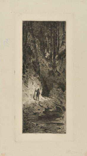 An Indian in a Forest