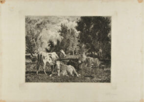 Landscape and Cattle