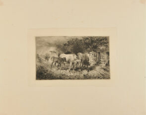 Cattle Returning Home