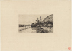 Marais de la Burbanche (Ain.)