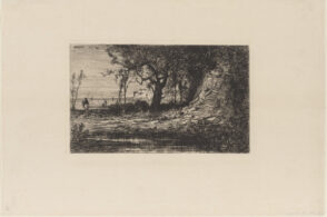 Aux Environs de Menton (Alpes Maritimes)