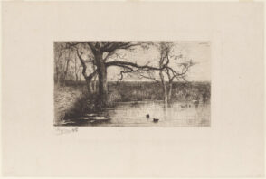 Pond with ducks, at the edge of a forest