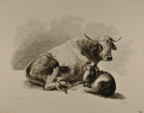 Groupes d’Animaux (Cow and goat)