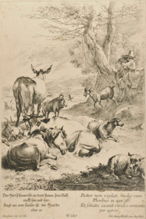 Le Troupeau en Repos