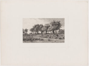 Road through an Apple Orchard