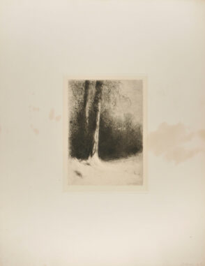 November Day – Snow