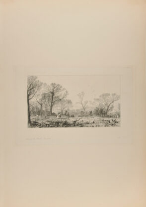 Clearing the Wood, Beesfield