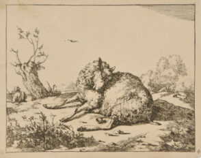 Différents Mountons