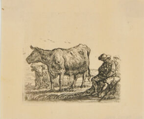Two Cows and Two Men