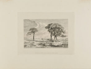 Landscape with Horses Drawing a Wagon