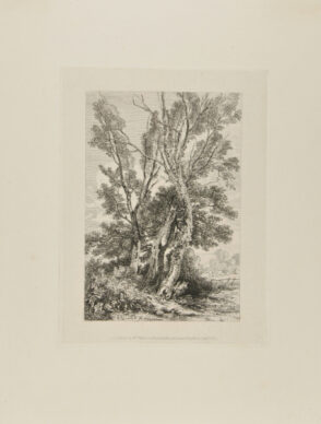 Landscape with Group of Trees in Foreground, Cattle Grazing in Background