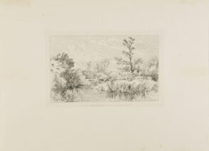 Reeds Growing By the Water, Wooden Bridge in Background