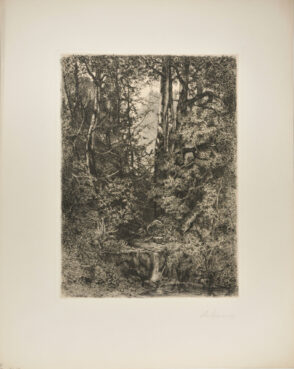 Forest Scene with Stream