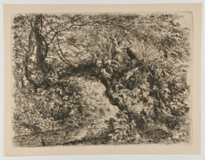 The Old Willow by the Stream