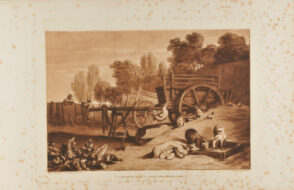 The Farm-Yard with the Cock