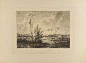 Etang De La Canau (Gironde)