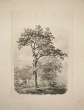 Landscape with Large Tree