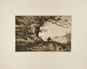 Old Oak Growing over the Road