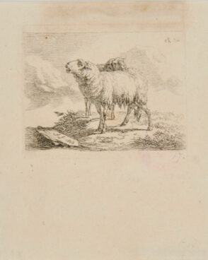 Recueil de gravures a l’eau-forte d’apres differens Maitres par F. T. Faber 1807