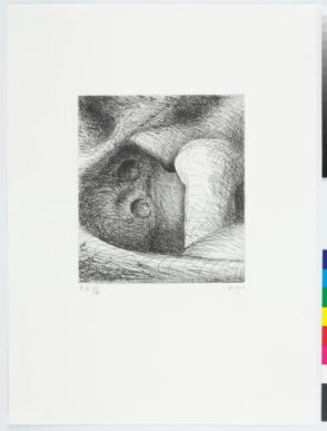 Plate II from the book “Elephant Skull”