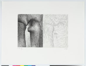 From the “Elephant Skull Album”