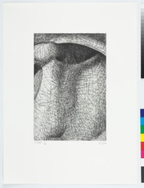 From the “Elephant Skull Album”