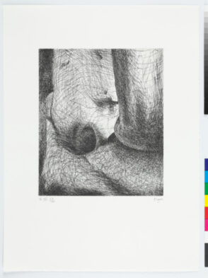 From the “Elephant Skull Album”