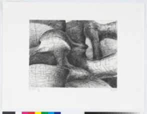 From the “Elephant Skull Album”